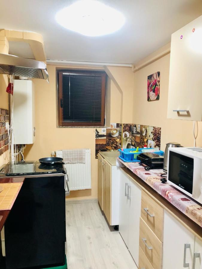 Central Park - Big Apartment - 3 Rooms - Free Parking T5 Тимишоара Экстерьер фото