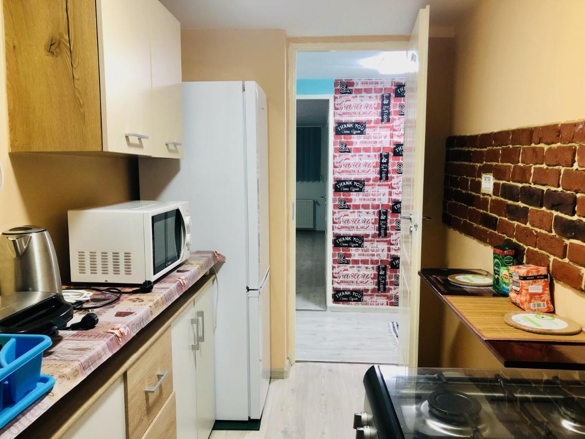 Central Park - Big Apartment - 3 Rooms - Free Parking T5 Тимишоара Экстерьер фото