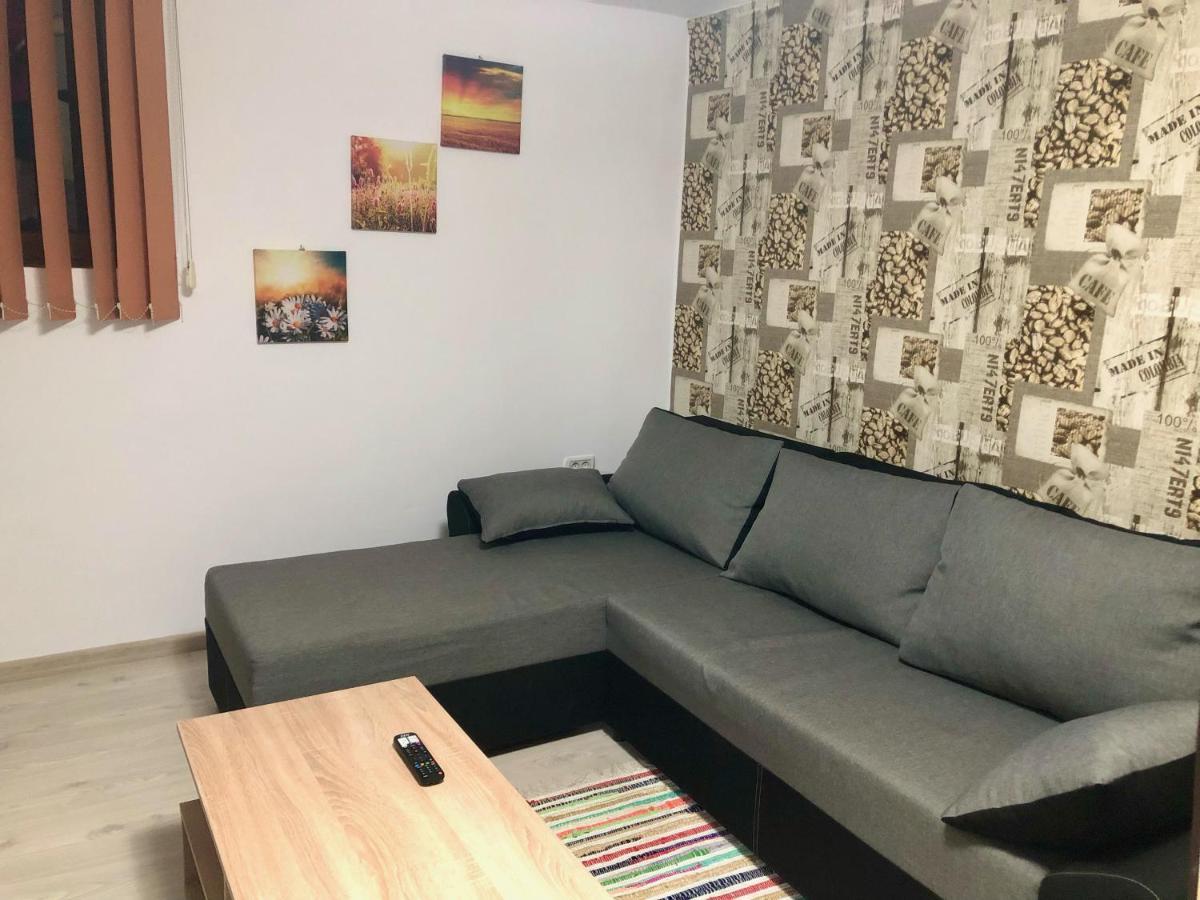Central Park - Big Apartment - 3 Rooms - Free Parking T5 Тимишоара Экстерьер фото